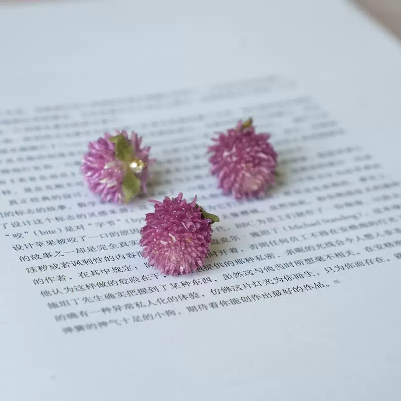 F11バラの花