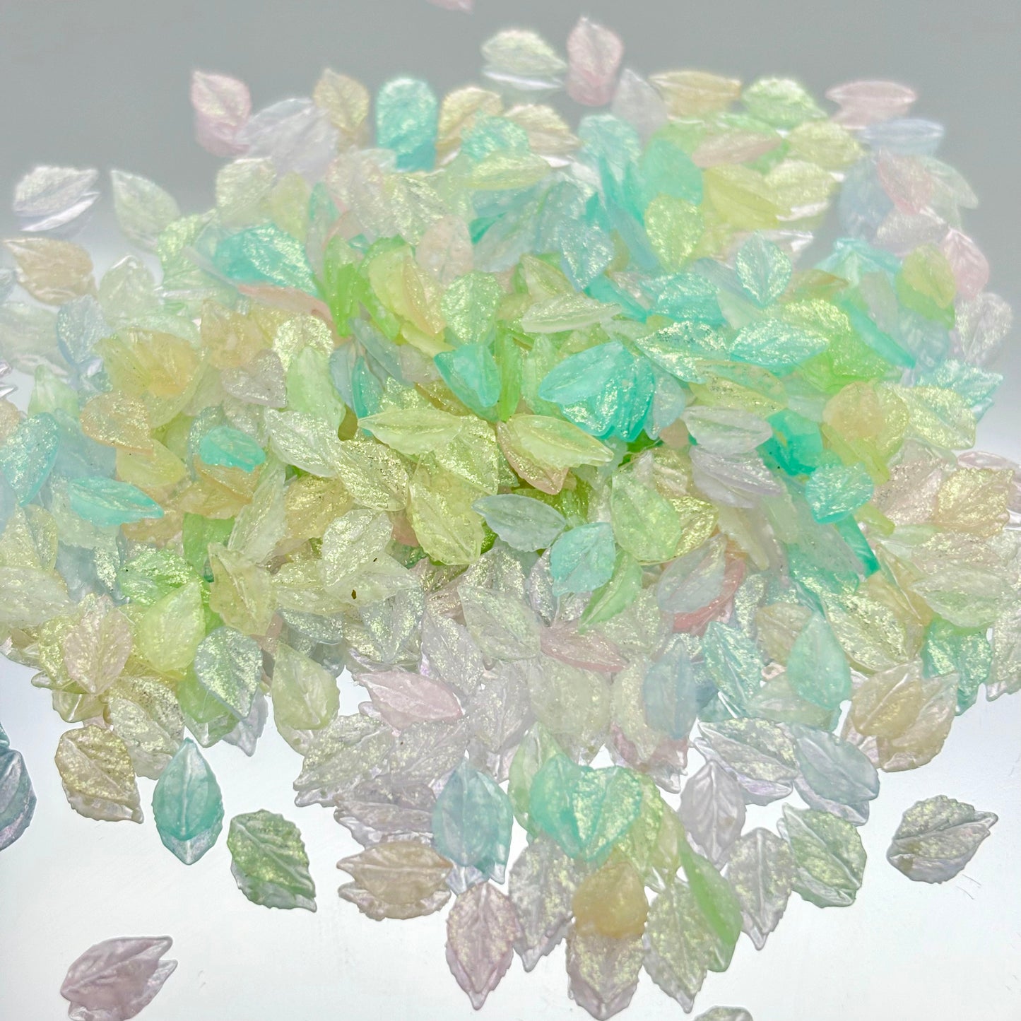 F71コントラスト葉っぱ